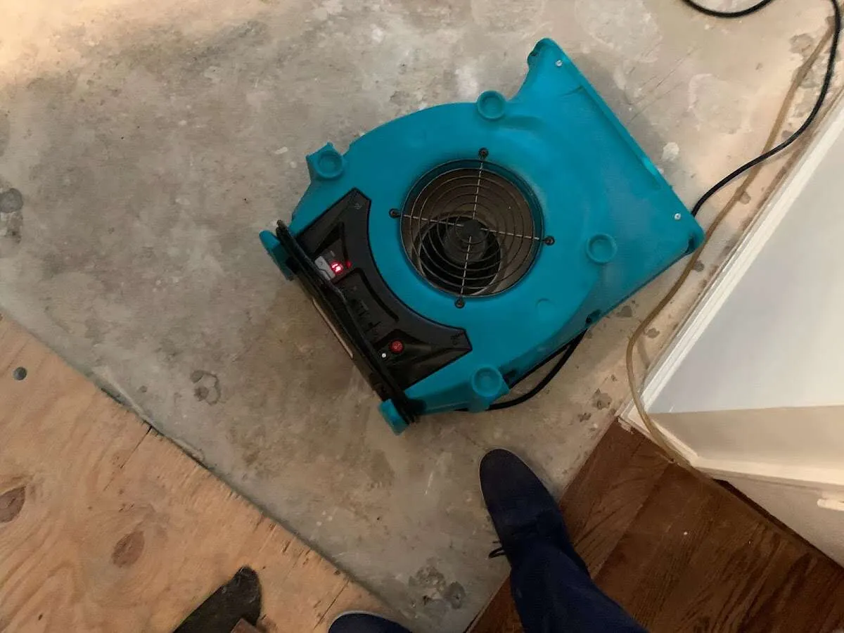 Air mover drying subfloor during Leak Detection & Repair in North Lynnwood